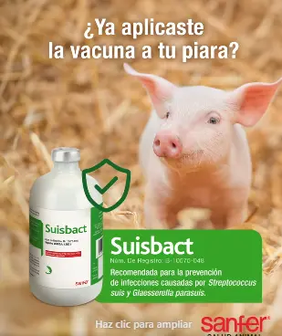 Suisbact