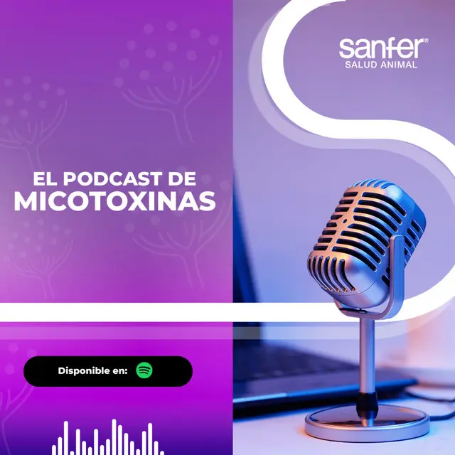 Podcast