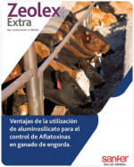 Ventajas de la utilización de aluminosilicato para el control de Aflatoxinas en ganado de engorda.