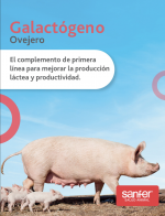 El complemento de primera línea para mejorar la producción láctea y productividad.