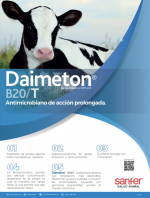 Flyer Daimeton®  B20/T