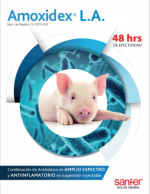 Amoxidex® L.A.: Combinación de Antibiótico de Amplio Espectro y Antiinflamatorio en suspensión inyectable.