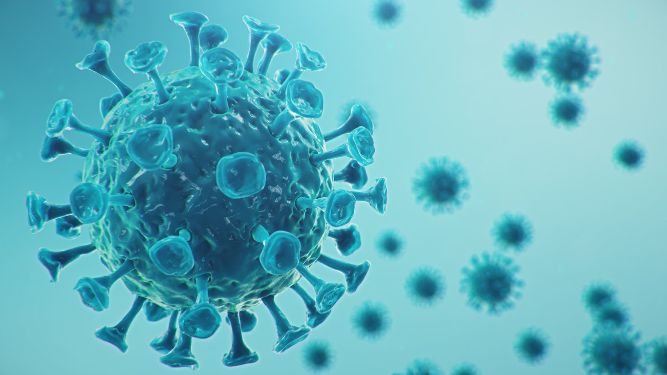 Influenza Aviar, el cambio es lo único constante.
