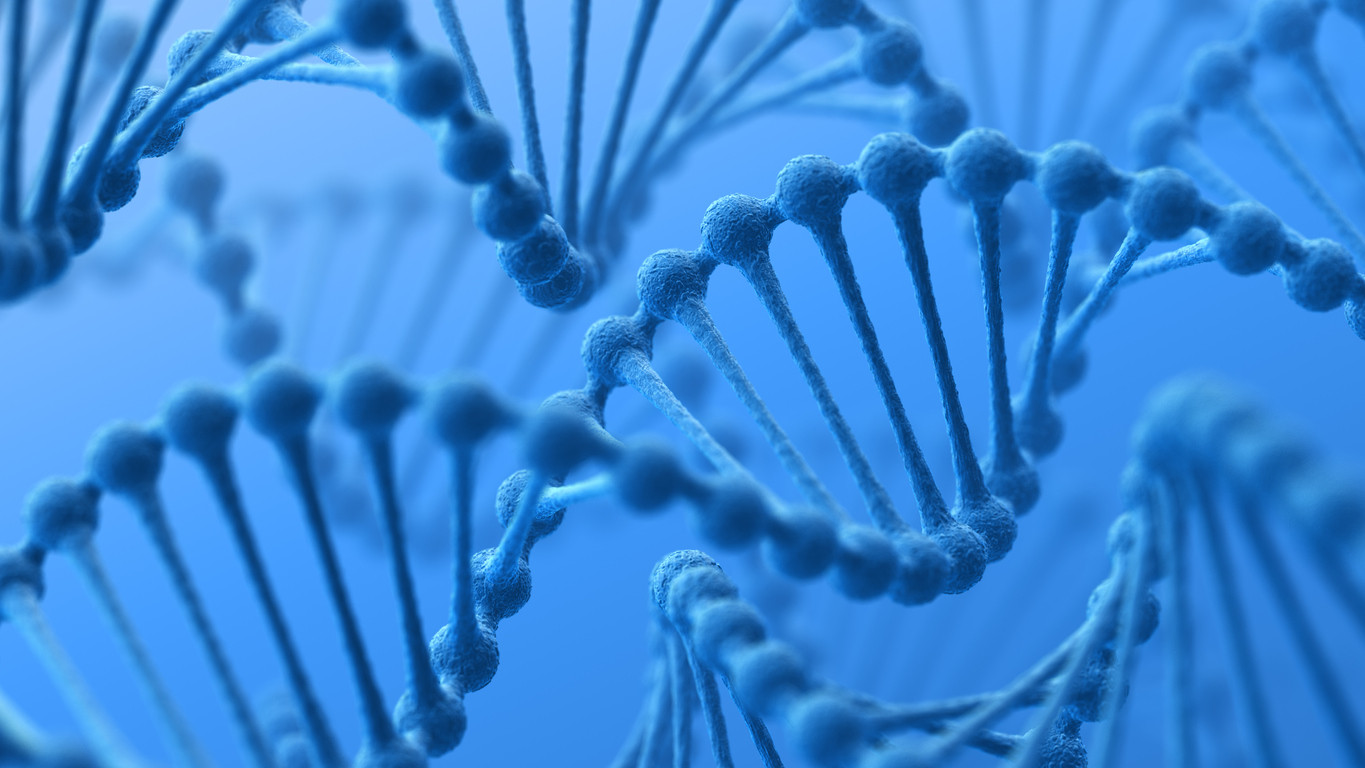 Genética Reversa, una herramienta para la generación de vacunas contra Influenza Aviar