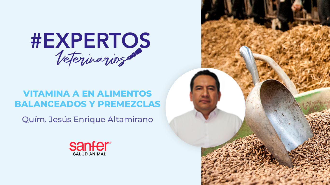 VITAMINA A EN ALIMENTOS BALANCEADOS Y PREMEZCLAS