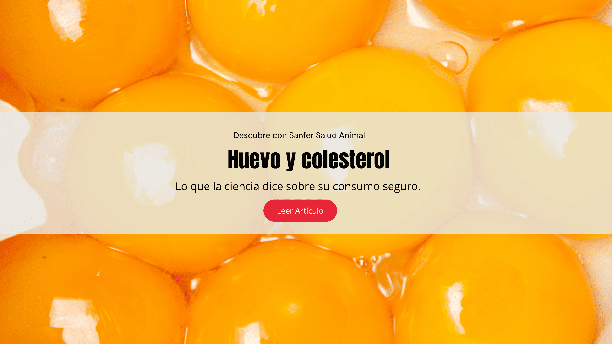 Huevo y colesterol: lo que la ciencia dice sobre su consumo seguro.