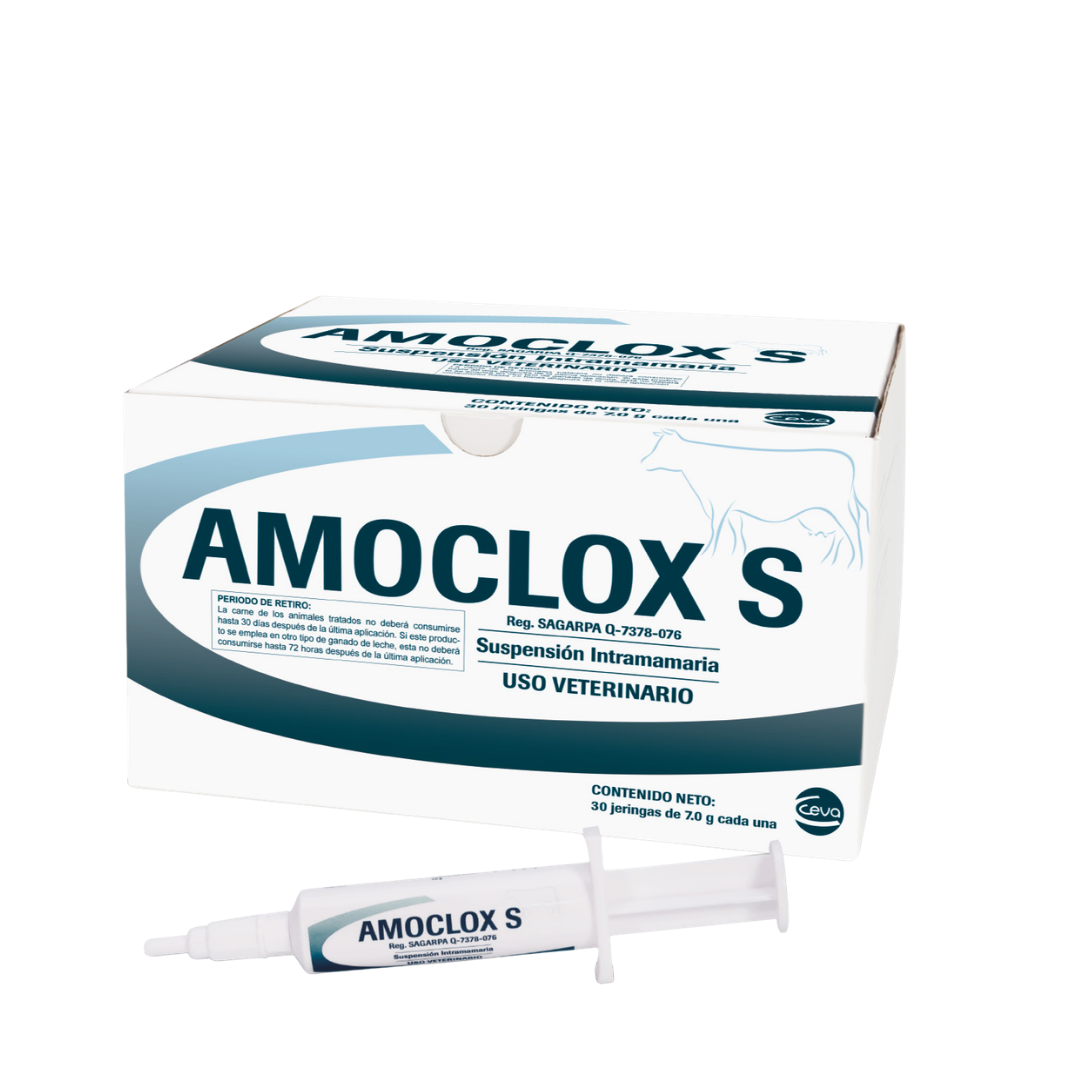 Amoclox S®